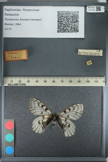 Media type: image;   Entomology 174588